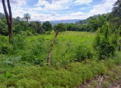 Fazenda/Sítio com 1 Quarto à venda, 4200m² no , Mateus Leme