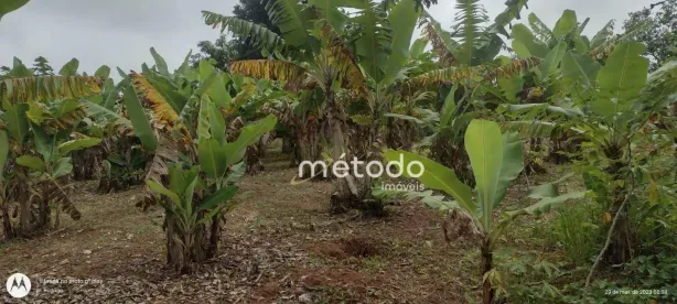 Lote/Terreno à venda, 1000m² no Chacara Santa Branca, Santa Branca