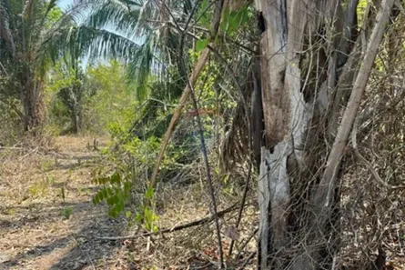Fazenda/Sítio com 1 Quarto à venda, 1200m² no Área Rural de Rondonópolis, Rondonópolis