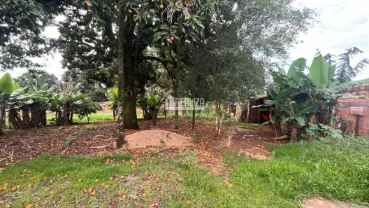 Fazenda/Sítio com 4 Quartos à venda, 2000m² no Recanto das Flores, Uberaba