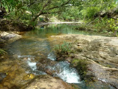 Lote/Terreno à venda, 6200000m² no , Acorizal