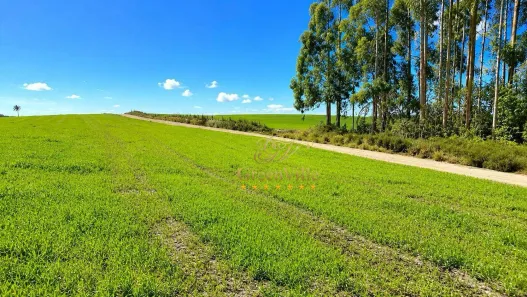 Fazenda/Sítio com 1 Quarto à venda, 2178000m² no Palmeira, Palmeira