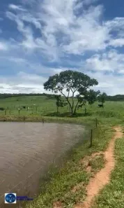 Fazenda/Sítio com 3 Quartos à venda, 62m² no Centro, Iporá