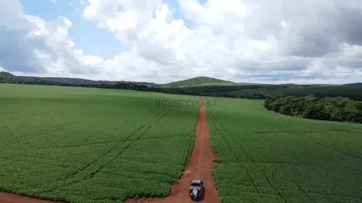 com 3 Quartos à venda, 300m² no , Primavera do Leste