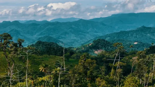 Fazenda/Sítio à venda, 20000m² no Caminho Pequeno, Corupá