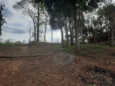 Lote/Terreno à venda, 20000m² no , Bom Jesus dos Perdões