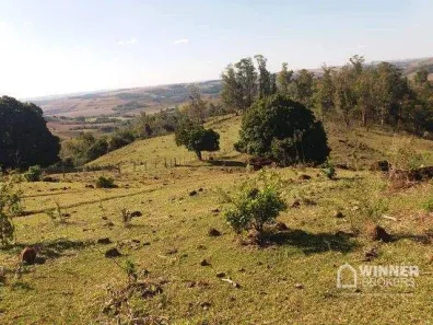 Fazenda/Sítio à venda, 290400m² no Rural, Mandaguari