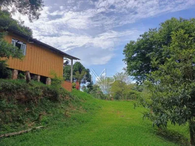 Fazenda/Sítio com 3 Quartos à venda, 50m² no Vila David Antônio, Campo Largo