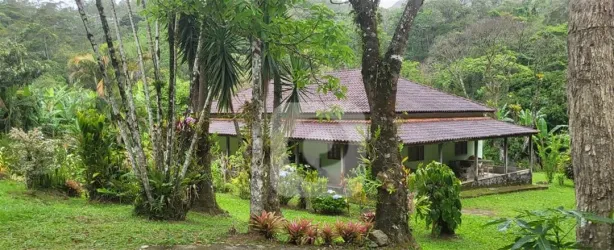 Fazenda/Sítio com 4 Quartos à venda, 20000m² no Lumiar, Nova Friburgo