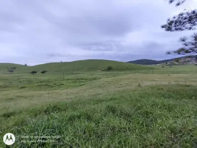 Fazenda/Sítio com 5 Quartos à venda, 1650100m² no Medeiros, Barra Velha