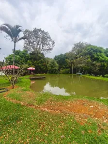 Fazenda/Sítio com 4 Quartos à venda, 50000m² no , Brasília