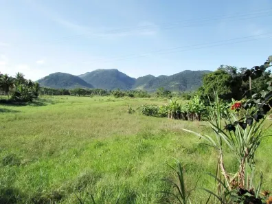 Fazenda/Sítio com 4 Quartos à venda, 31000m² no Papucaia, Cachoeiras de Macacu