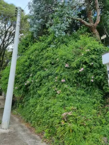 Lote/Terreno à venda, 336m² no Cinqüentenário, Caxias do Sul