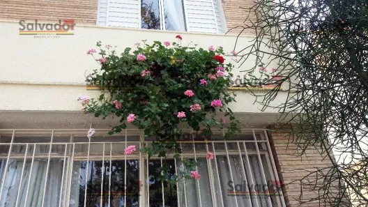 Sobrado com 4 Quartos à venda, 230m² no Planalto Paulista, São Paulo
