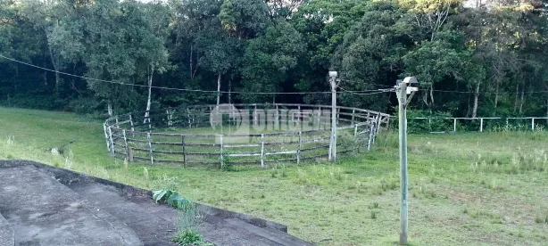 Fazenda/Sítio para alugar, 8000m² no Felpudo, Campo Largo