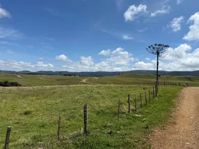 Lote/Terreno à venda, 20000m² no , Urupema
