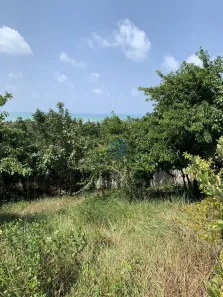 Lote/Terreno à venda, 3354m² no Pipa, Tibau do Sul