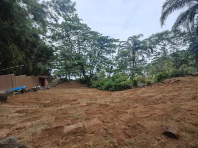 Lote/Terreno à venda, 1390m² no Pacoíba, Ilhabela
