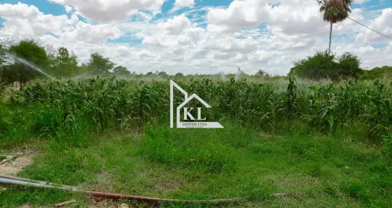 Fazenda/Sítio com 3 Quartos à venda, 1200000m² no , Ipanguaçu