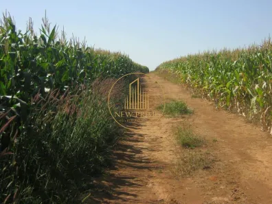 Fazenda/Sítio com 5 Quartos à venda, 472m² no Área Rural de Unaí, Unaí