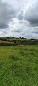 Fazenda/Sítio à venda, 220000m² no Vila Mazzei, Itapetininga