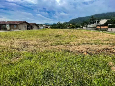à venda, 1175m² no Tamandua, Ascurra