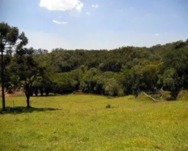 Lote/Terreno à venda, 10324m² no Rod. Bunjiro Nakao, Ibiúna
