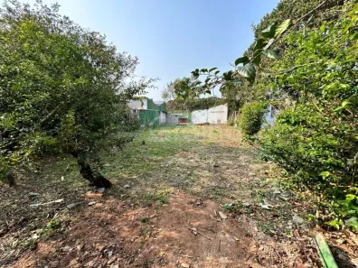 Lote/Terreno à venda, 329m² no Campeche, Florianópolis