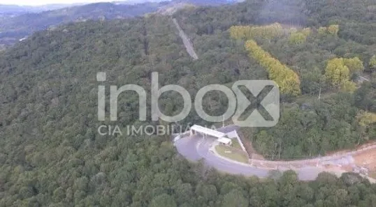 Lote/Terreno à venda, 3900m² no Santo Antão, Bento Gonçalves