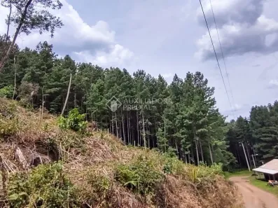 Fazenda/Sítio à venda, 70680m² no Serra Grande, Gramado