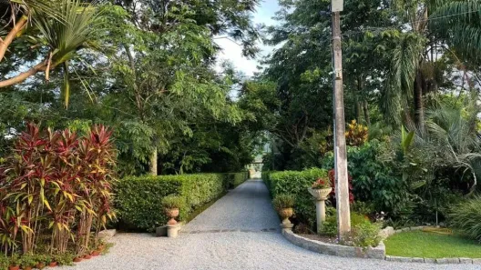 Fazenda/Sítio com 3 Quartos à venda, 9619m² no Guarda do Cubatão, Palhoça