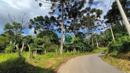 Lote/Terreno à venda, 5000m² no , São Bento do Sapucaí