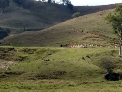Fazenda/Sítio à venda, 169400m² no Benfica, São Luiz do Paraitinga