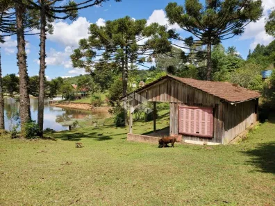 Fazenda/Sítio à venda, 3934m² no Centro, São Francisco de Paula