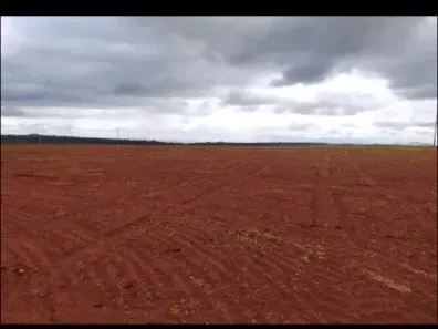 Fazenda/Sítio à venda no , Conceição do Araguaia