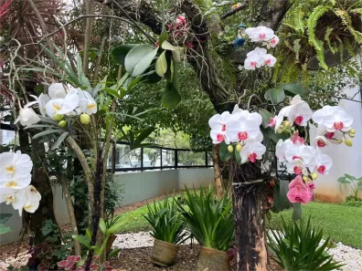 Apartamento com 1 Quarto à venda, 59m² no Pitangueiras, Guarujá