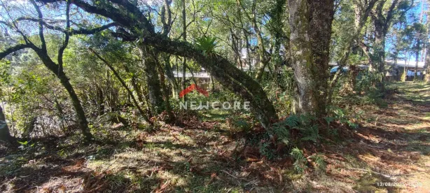 Lote/Terreno à venda, 600m² no Centro, São Francisco de Paula