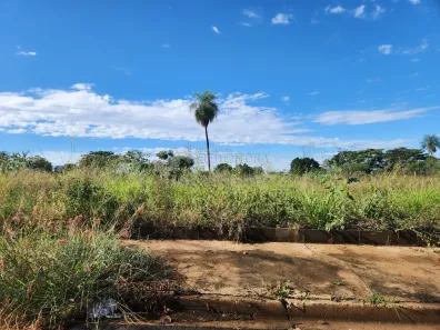 Lote/Terreno à venda, 252m² no Fazenda Rio Preto, São José do Rio Preto