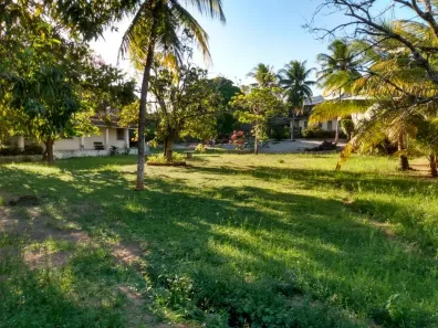 Fazenda/Sítio à venda, 4000m² no Barra do Pojuca (Monte Gordo), Camaçari