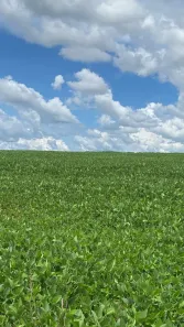 Fazenda/Sítio à venda, 14520000m² no Setor Central, Doverlândia