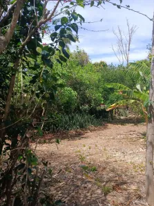 Lote/Terreno à venda, 616m² no Parque Jatibaia (Sousas), Campinas