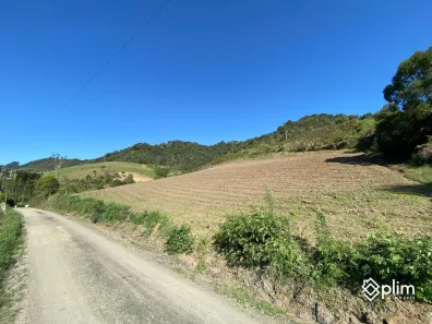 Fazenda/Sítio com 1 Quarto à venda, 40000m² no , Alfredo Wagner
