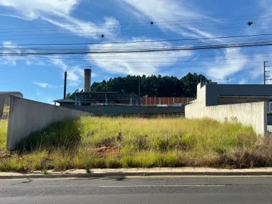Lote/Terreno para alugar, 495m² no Jardim Carvalho, Ponta Grossa