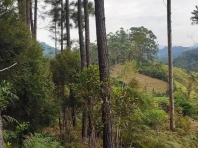 Lote/Terreno à venda, 65228m² no São João Batista, São João Batista