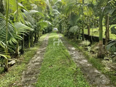 Fazenda/Sítio com 5 Quartos à venda, 200m² no Santa Luzia, Jaraguá do Sul