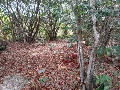 Lote/Terreno à venda, 704m² no Praia da Pipa, Tibau do Sul