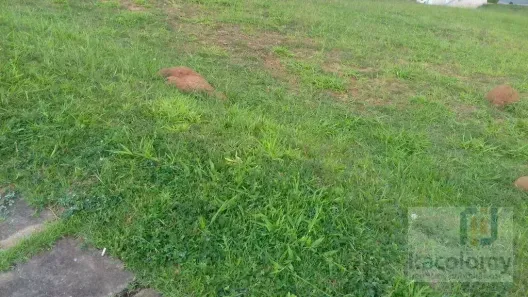 Lote/Terreno à venda, 546m² no Tamboré, Santana de Parnaíba