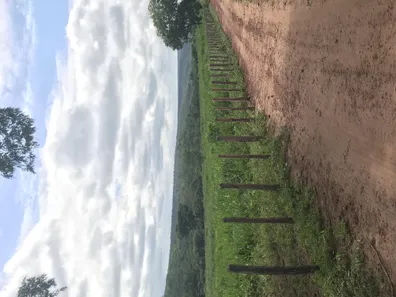 Fazenda/Sítio com 5 Quartos à venda, 653400m² no , Lençóis
