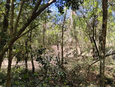 Lote/Terreno à venda, 15000m² no Ravena, Sabará