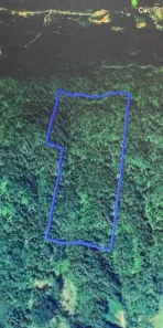 Lote/Terreno à venda, 308000m² no Centro, Jaraguá do Sul